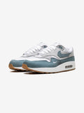 Nike Air Max 1 .SWOOSH Low Poly Adventure