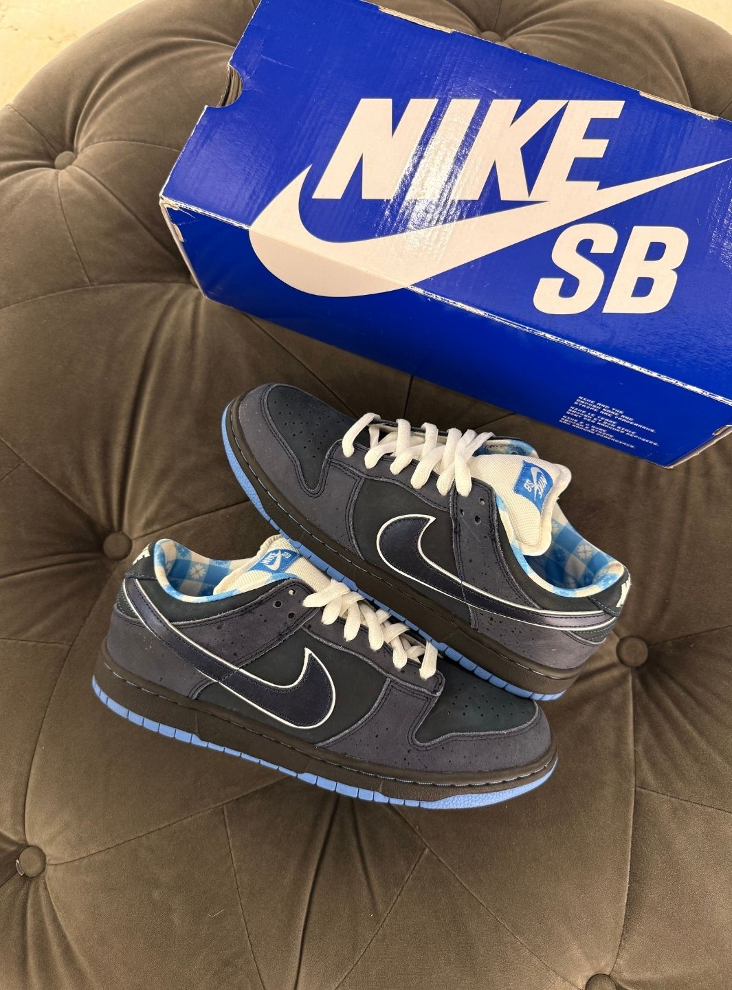 Nike SB Dunk Low Concepts Blue Lobster - Usato 9/10