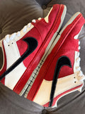 Nike SB Dunk Low Roller Derby - Usato 8.5/10