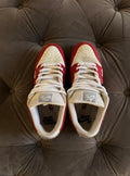 Nike SB Dunk Low Roller Derby - Usato 8.5/10