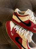 Nike SB Dunk Low Roller Derby - Usato 8.5/10