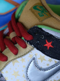 Nike SB Dunk Low What the Dunk