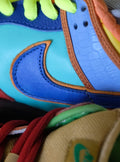 Nike SB Dunk Low What the Dunk